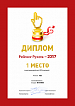 1 МЕСТО по Уфе среди SEO-компаний по данным «Рейтинг Рунета – 2017»